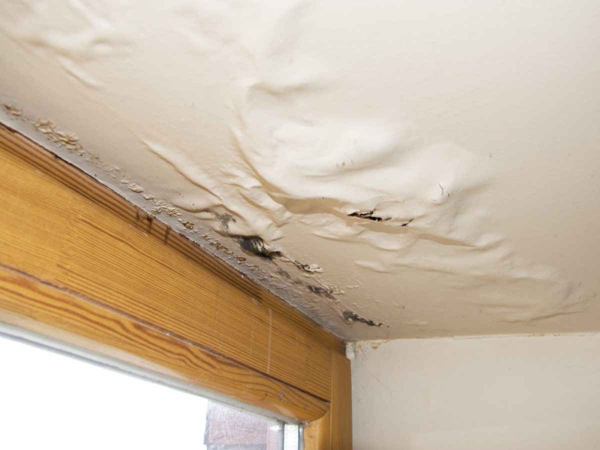 Water damage restoration assessment